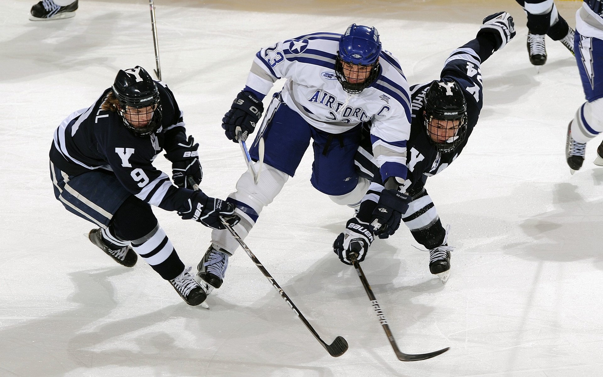 卡普尔带领袋鼠队打破对方防线，赢得关键比赛，卡尔皮纳袋鼠